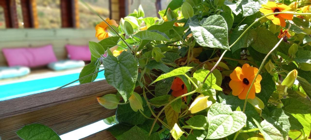 Finca Mariposa Mariposaholidays เนร์คา ภายนอก รูปภาพ