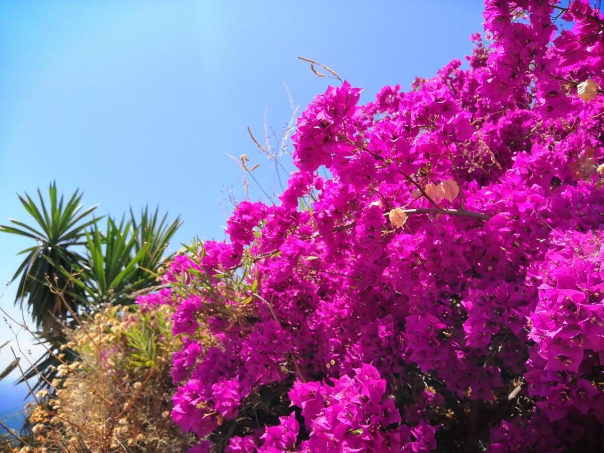 Finca Mariposa Mariposaholidays เนร์คา ภายนอก รูปภาพ