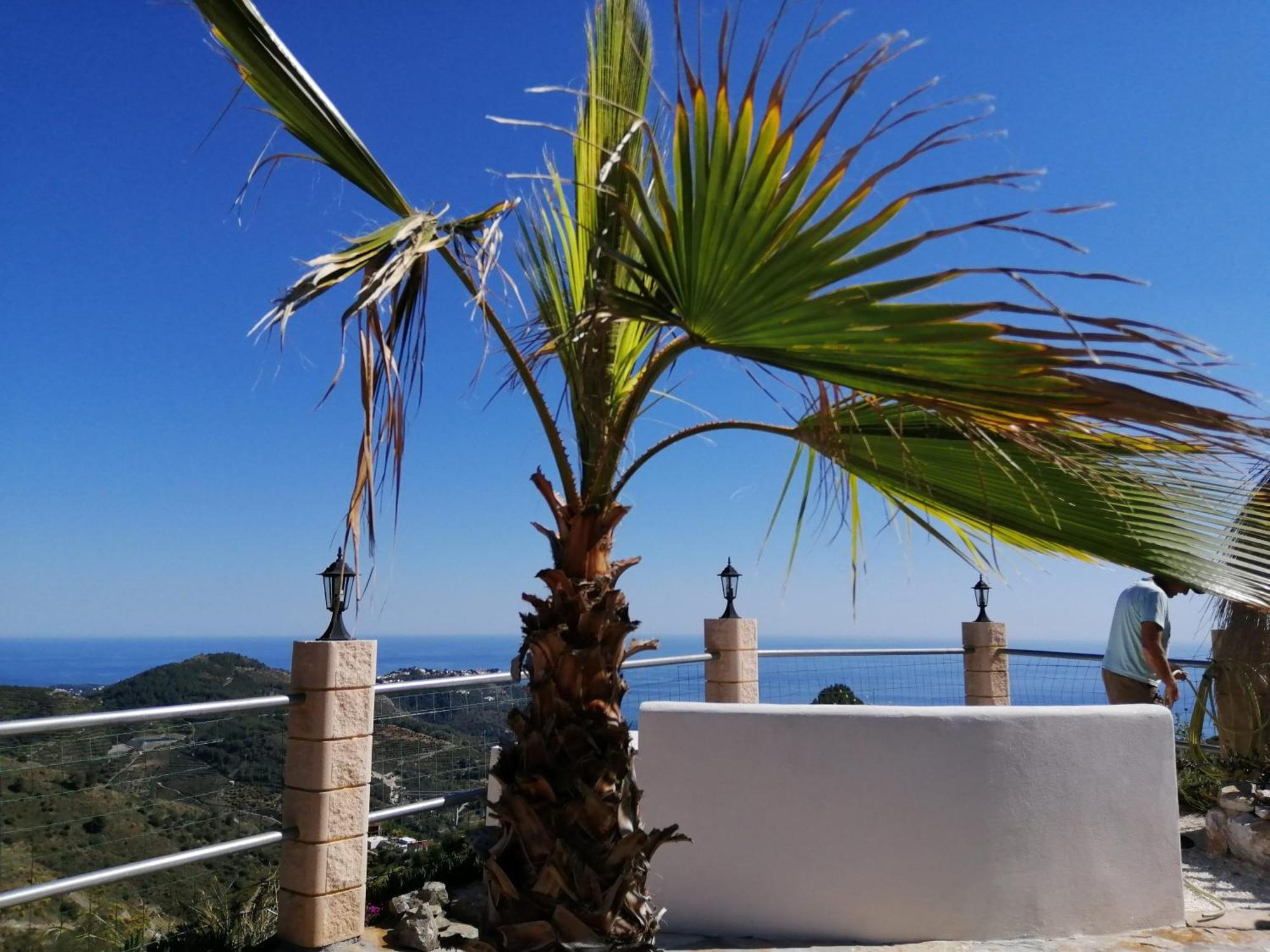 Finca Mariposa Mariposaholidays เนร์คา ภายนอก รูปภาพ